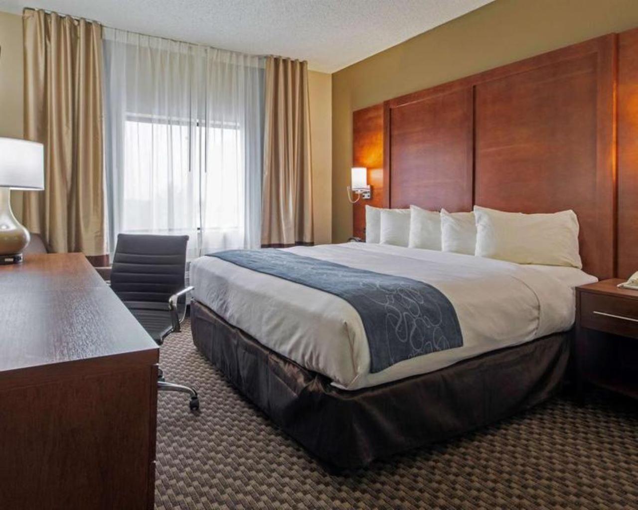 Comfort Inn & Suites Las Cruces Mesilla Екстериор снимка